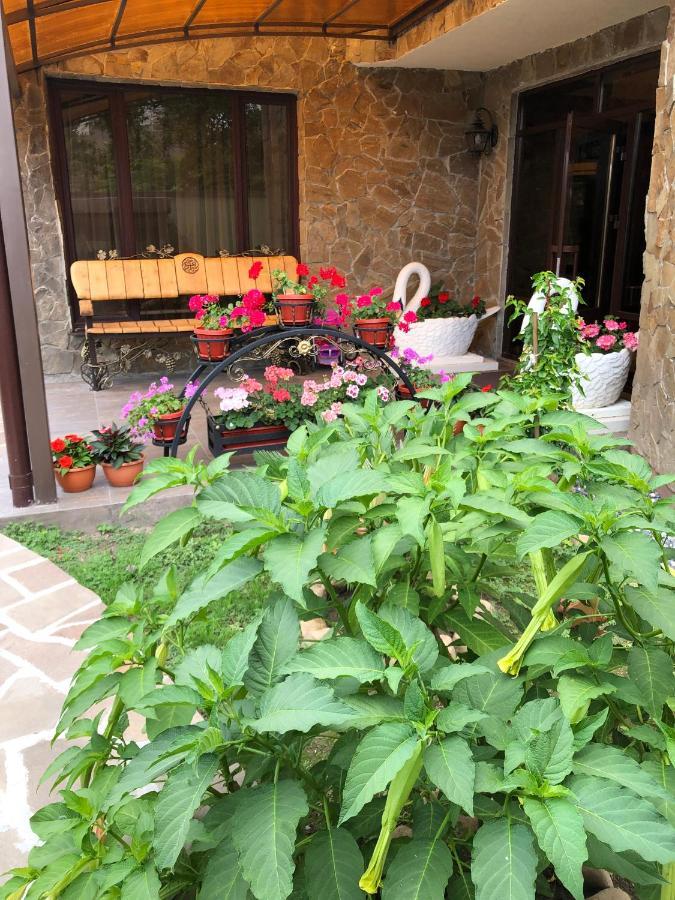 Гостевой Дом Siella Hotel Szuhumi Kültér fotó